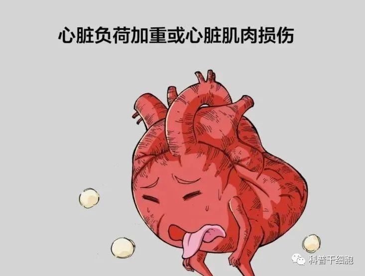 微信圖片_20231213163841.jpg 微信圖片_20231213163841.jpg