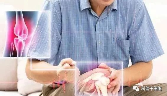 微信圖片_20231213163845.jpg 微信圖片_20231213163845.jpg