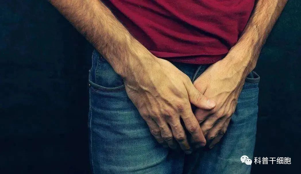 微信圖片_20231213163853.jpg 微信圖片_20231213163853.jpg