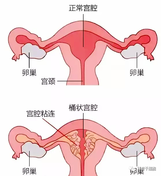 微信圖片_20231213163857.png 微信圖片_20231213163857.png