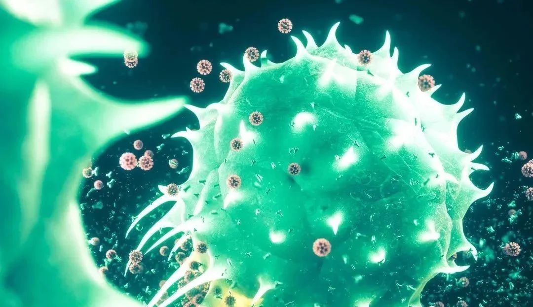 微信圖片_20231214151723.jpg 微信圖片_20231214151723.jpg