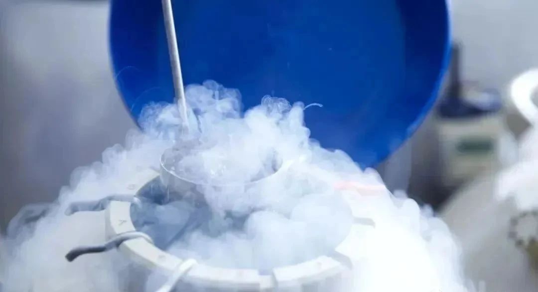 微信圖片_20231222105628.jpg 微信圖片_20231222105628.jpg