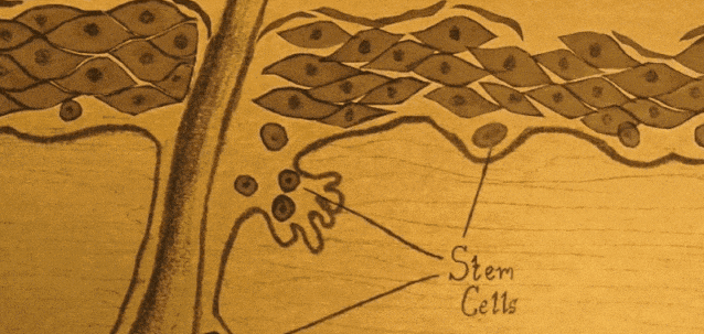 微信圖片_20231222110037.gif 微信圖片_20231222110037.gif