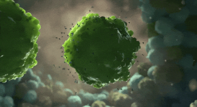 微信圖片_20231222110047.gif 微信圖片_20231222110047.gif