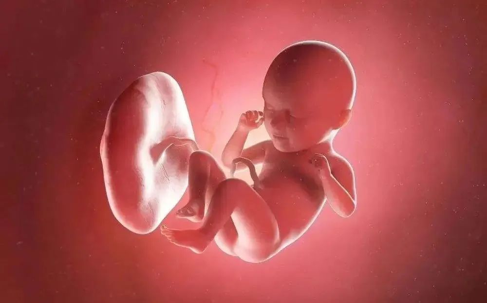 微信圖片_20231222110049.jpg 微信圖片_20231222110049.jpg