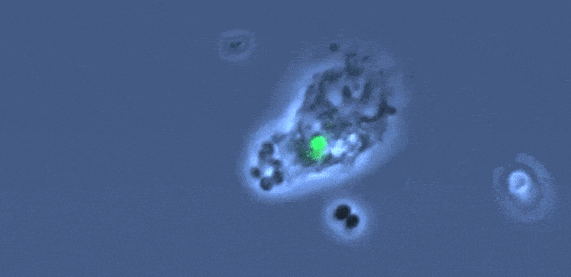 微信圖片_20231222110055.gif 微信圖片_20231222110055.gif