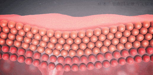 微信圖片_20231222110058.gif 微信圖片_20231222110058.gif