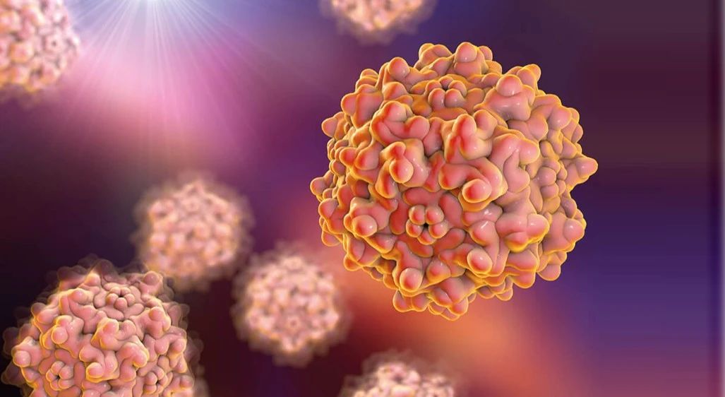 微信圖片_20240106151838.jpg 微信圖片_20240106151838.jpg