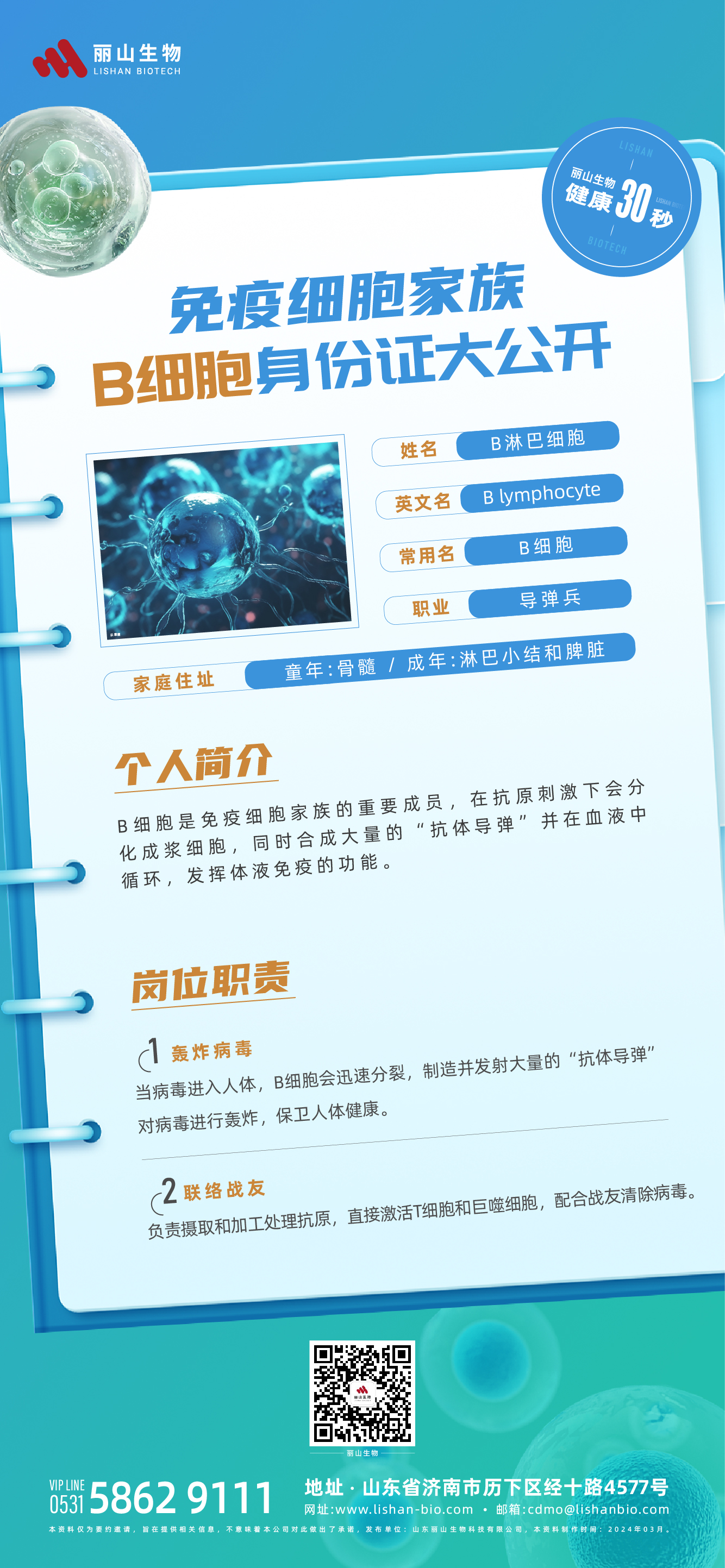 0301 健康30s-B細(xì)胞.jpg