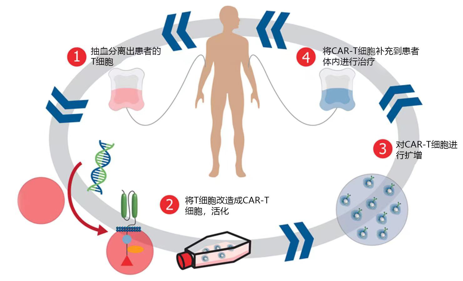 0826 回輸改.jpg 0826 回輸改.jpg