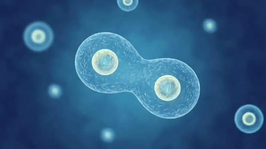 微信圖片_20250109103610.png 微信圖片_20250109103610.png