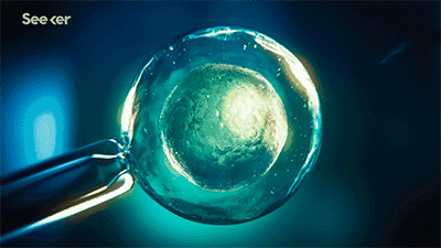 微信圖片_20250109103617.gif 微信圖片_20250109103617.gif