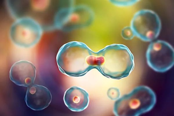 微信圖片_20250109203734.jpg 微信圖片_20250109203734.jpg