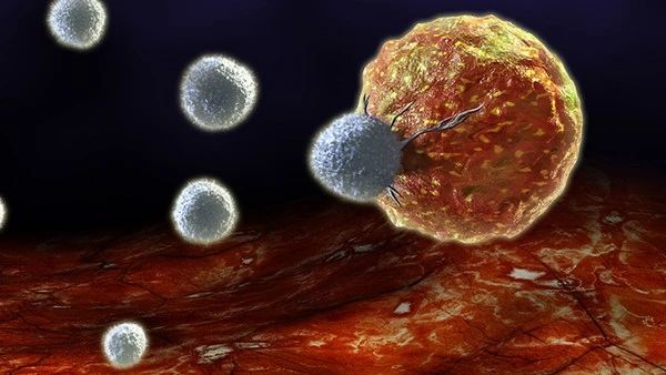 微信圖片_20250109203738.jpg 微信圖片_20250109203738.jpg