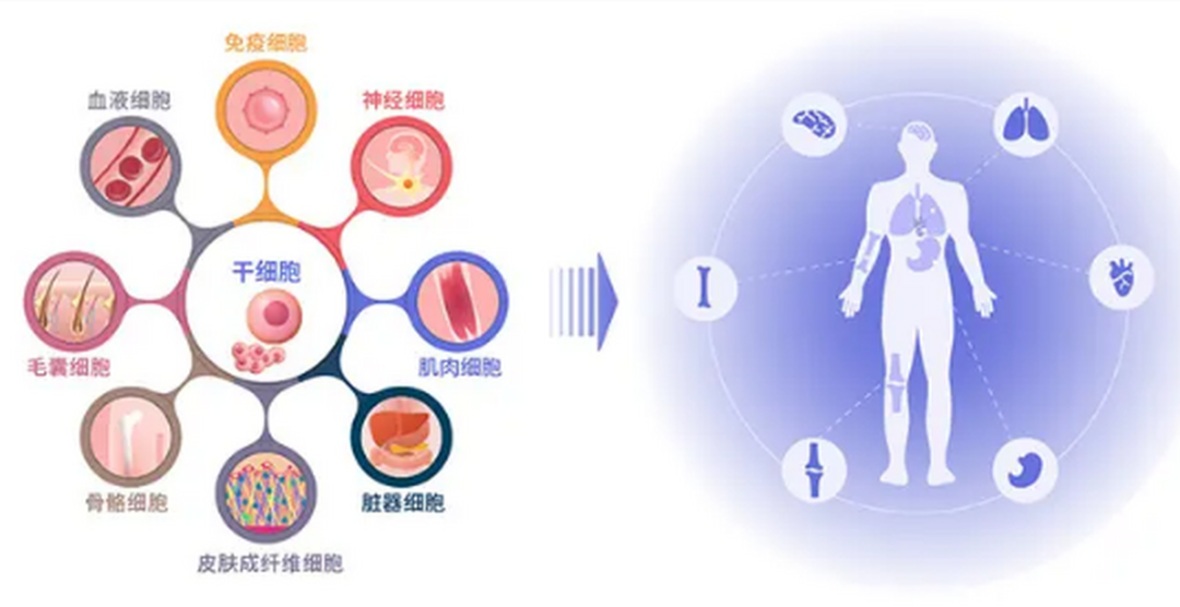 微信圖片_20250109205953.png 微信圖片_20250109205953.png