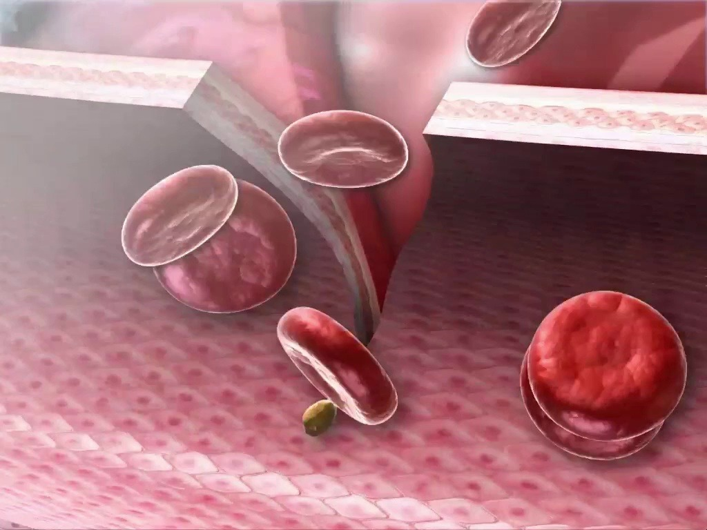 微信圖片_20250109205954.png 微信圖片_20250109205954.png