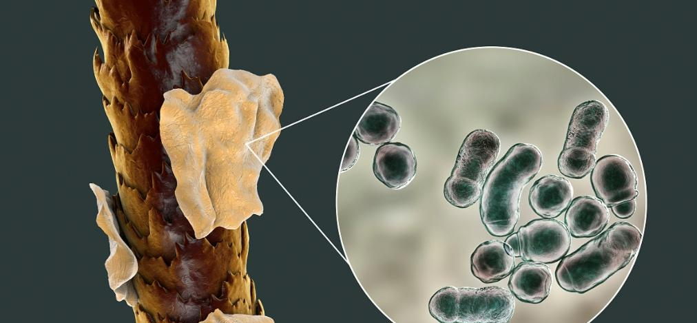 微信圖片_20250109205956.png 微信圖片_20250109205956.png