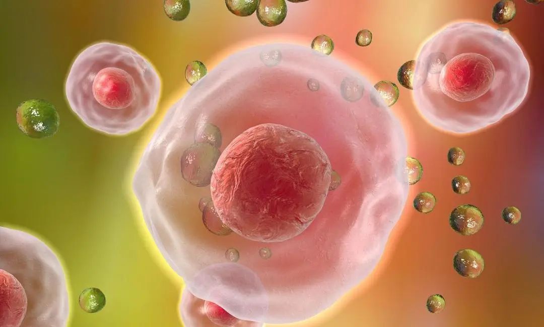 微信圖片_20250109212049.jpg 微信圖片_20250109212049.jpg