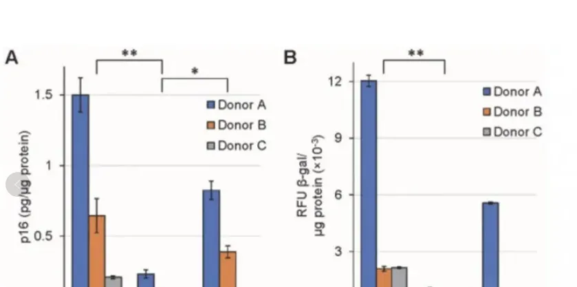 1740399472527.jpg 1740399472527.jpg