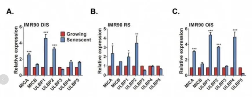 1740399475314.jpg 1740399475314.jpg