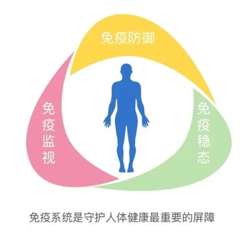 1740399777936.jpg 1740399777936.jpg