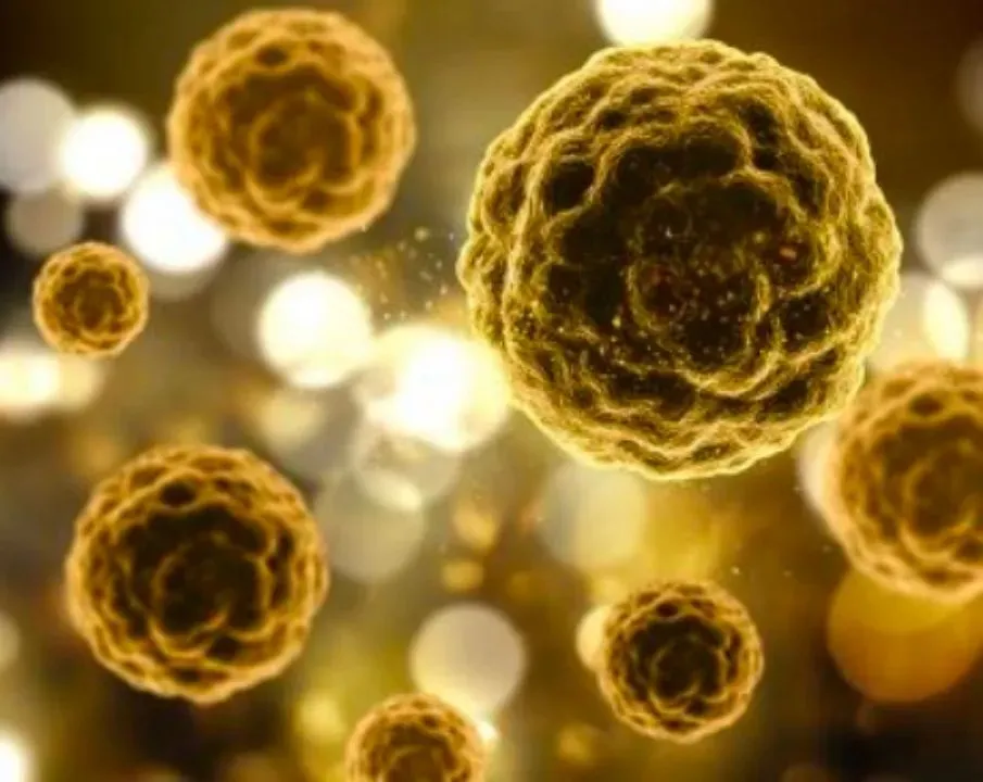 1740399781481.jpg 1740399781481.jpg