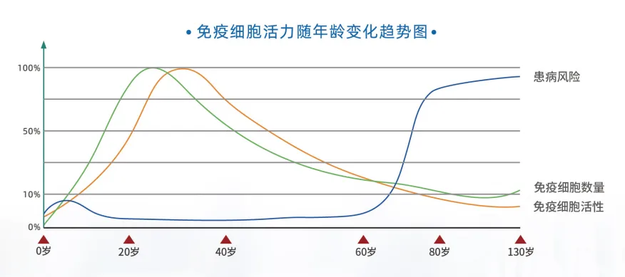 1740399787248.jpg 1740399787248.jpg