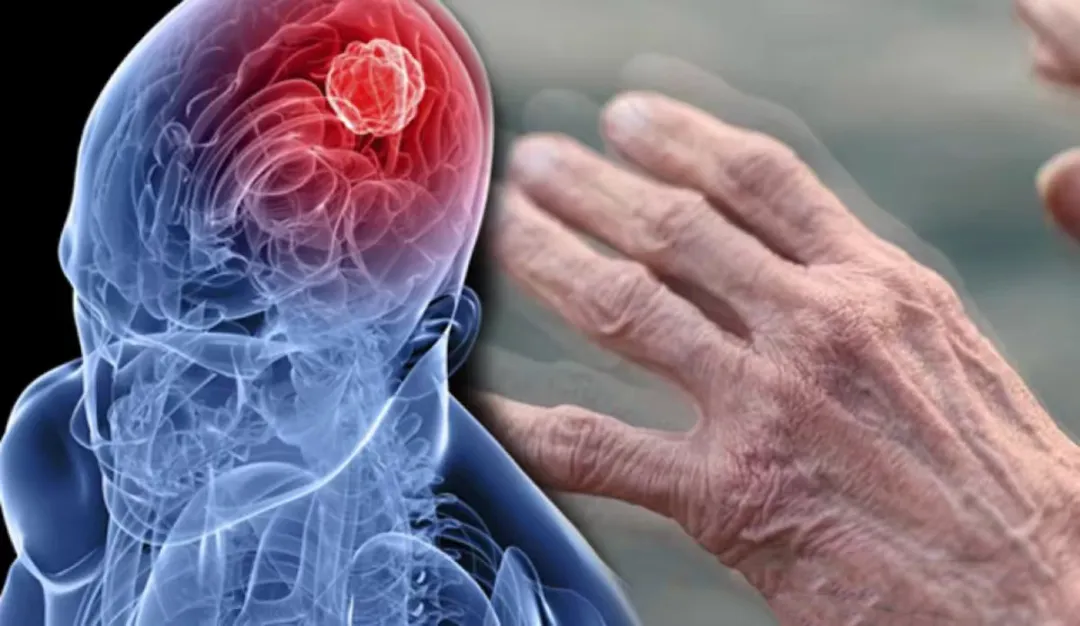 1740400349178.jpg 1740400349178.jpg