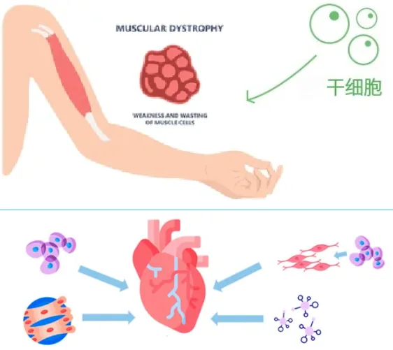 1740400696575.jpg 1740400696575.jpg