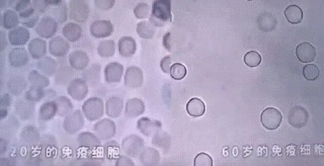 1740401828050.jpg 1740401828050.jpg