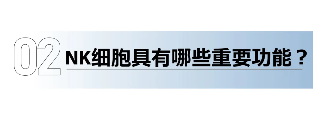 1740401831566.jpg 1740401831566.jpg