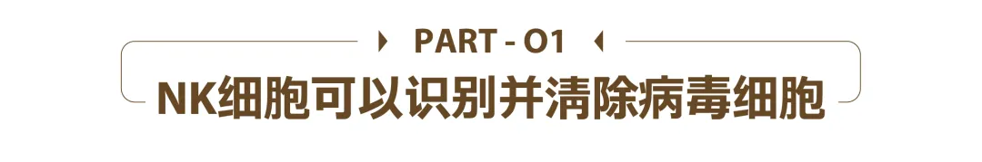 1740401833943.jpg 1740401833943.jpg