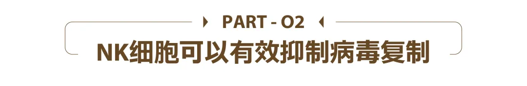 1740401836609.jpg 1740401836609.jpg