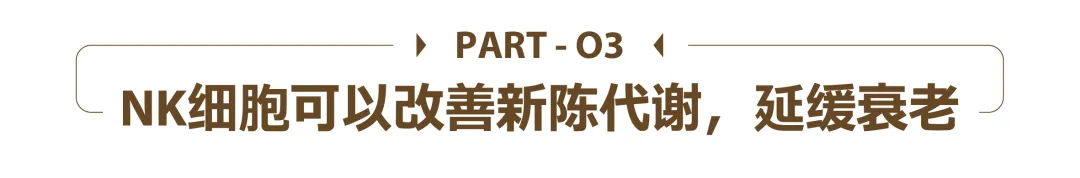 1740401841527.jpg 1740401841527.jpg