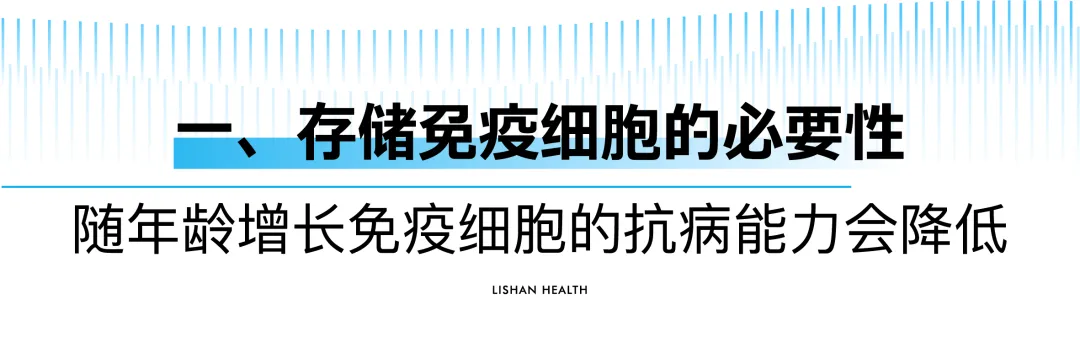 1740402013032.jpg 1740402013032.jpg