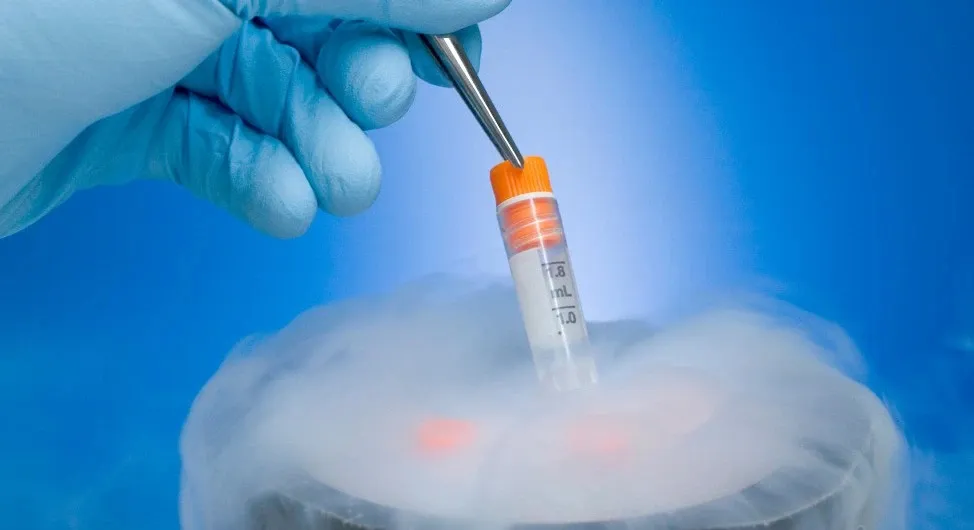 1740402290774.jpg 1740402290774.jpg