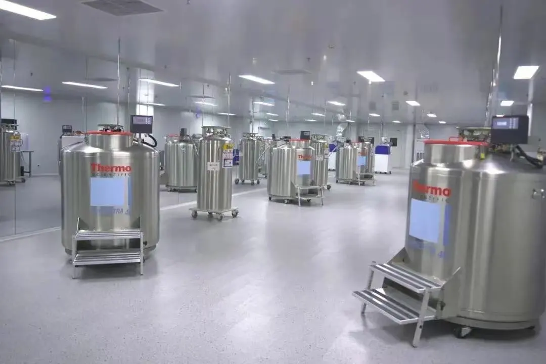 1740402302636.jpg 1740402302636.jpg