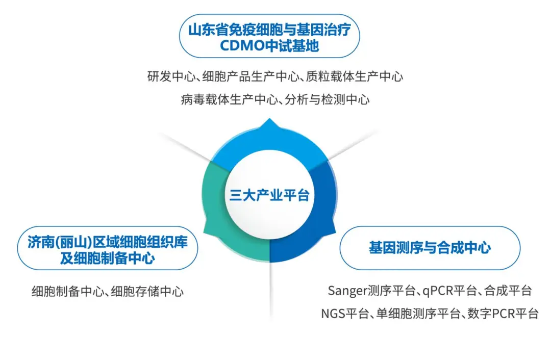 1740402313358.jpg 1740402313358.jpg