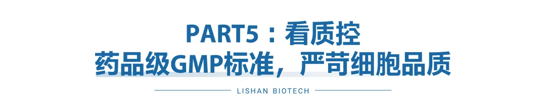 1740402353385.jpg 1740402353385.jpg