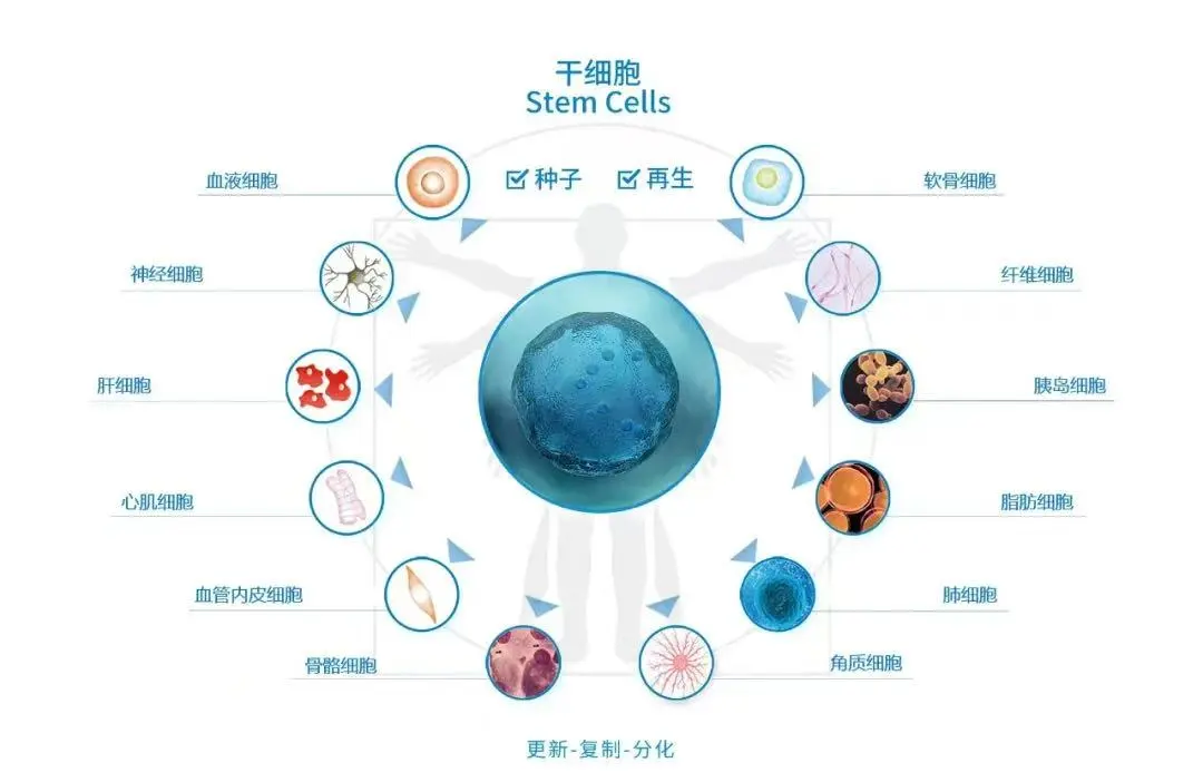 1740402669382.jpg 1740402669382.jpg