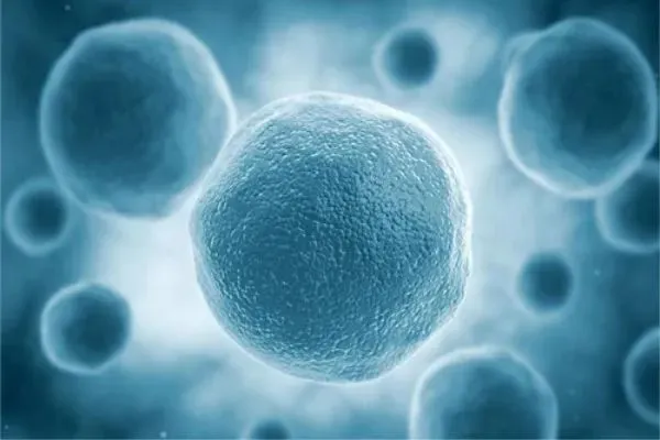 1740402674367.jpg 1740402674367.jpg